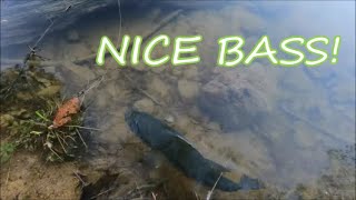 Searching for Largemouth and Catching TRASH BASS!!!