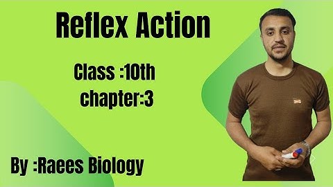 Reflex Action/Reflex Arc in urdo /Hindi | Class 10th | Chapter 3