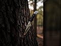 Premium Hunting & Outdoor Knives 🔥 | Built for Adventure