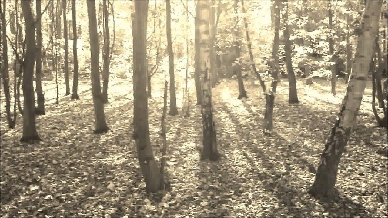Mar de copas - Entre los árboles - YouTube