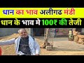 अलीगढ़ मंडी धान का भाव धान के भाव में आई तेजी #dhaankabhav #paddybhav