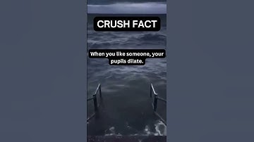day 7 of posting random facts in meme format until i gain 100k subscribers#crushfacts#love