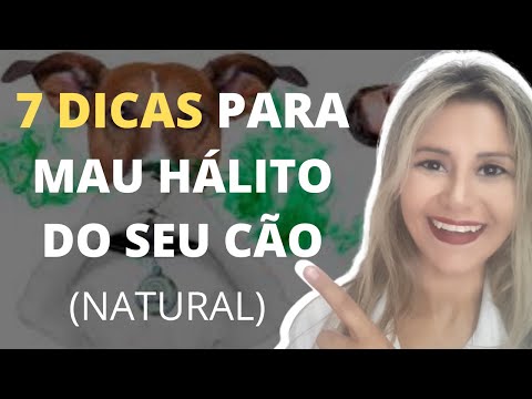 Vídeo: Seu filhote tem mau hálito? Tente estas 5 dicas!