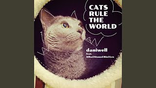 ねねこ 限定数】ねこ肯定感抱き枕 BIGサイズ【全3種】 – 鎌倉ねこサロン