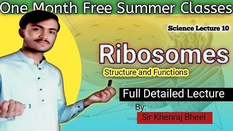 Ribosomes - Structure and Functions| Full Explained|Lec 10| Sir Khenraj|Summer Classes