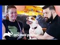 Man Finds The Perfect Companion To Share His Life With | Pit Bulls & Parolees