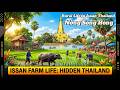 Landleben Im Isaan Thailand Nong Song Hong