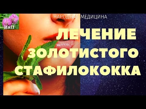 Лечение золотистого стафилококка натуральным аптечным средством на растительной основе