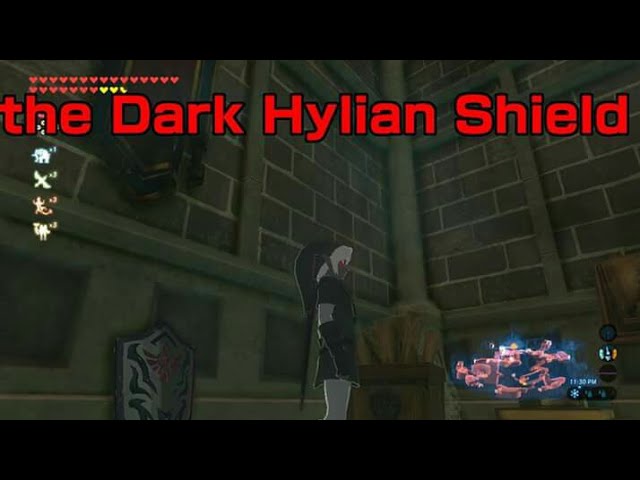 Dark Link's Zelda Hylian Shield-A