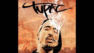 2Pac - F*ck All Y’all   REMIX_THC II