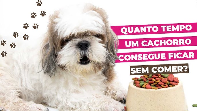 How Long Can A Dog Go Without Eating: Essential Facts Revealed