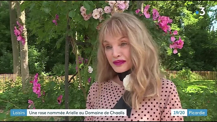 Arielle Dombasle - France 3 19/20 : Les Journées de la Rose au domaine de Chaalis (11 juin 2022)