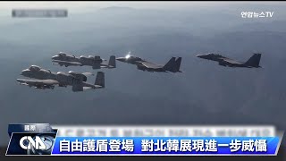 美國南韓展開「自由護盾」軍演 北韓：危險挑釁行徑