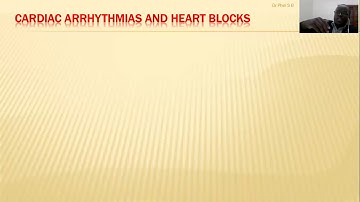 3  Circulatory system lecture 3 Video part B