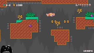 Kitsune Tails 2-2 Yuzu IL Speedrun 34.596