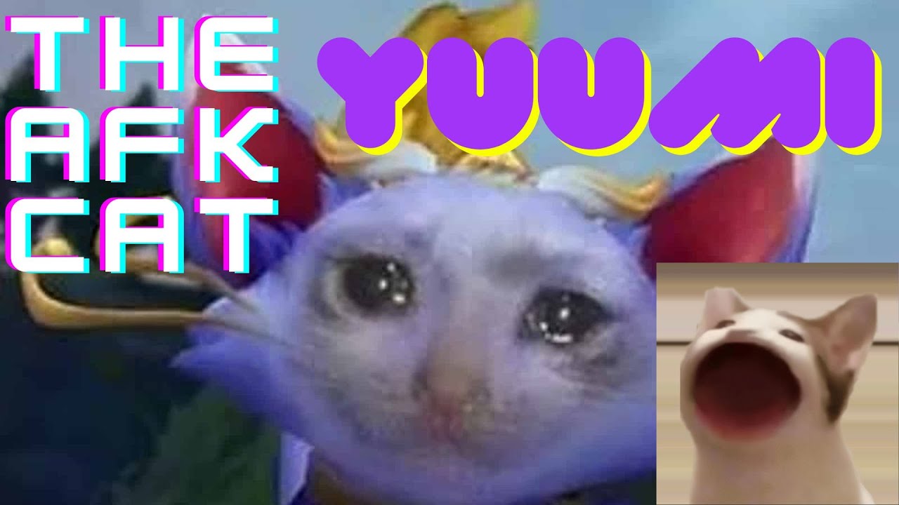 Yuumi the afk cat is so funny