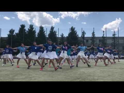 芦花高校体育祭17 応援団 青団 Youtube