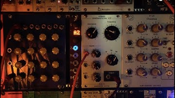 Manhattan Analog - Nyle Steiner Synthasystem VCF Demo - Mark Steiner