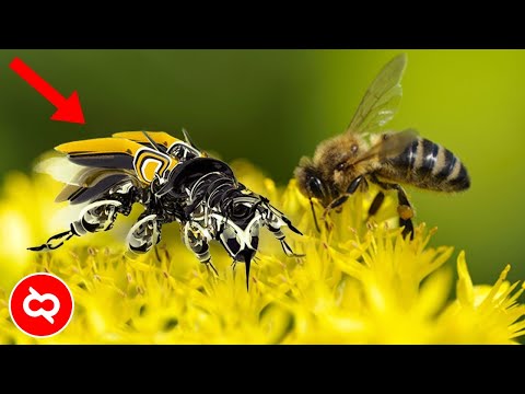 Video: Bot Terbang Berukuran Lebah Menjadi Kenyataan - Pandangan Alternatif