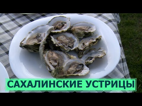 Самый вкусный тур на Сахалине - гастрономическое путешествие на озеро Буссе