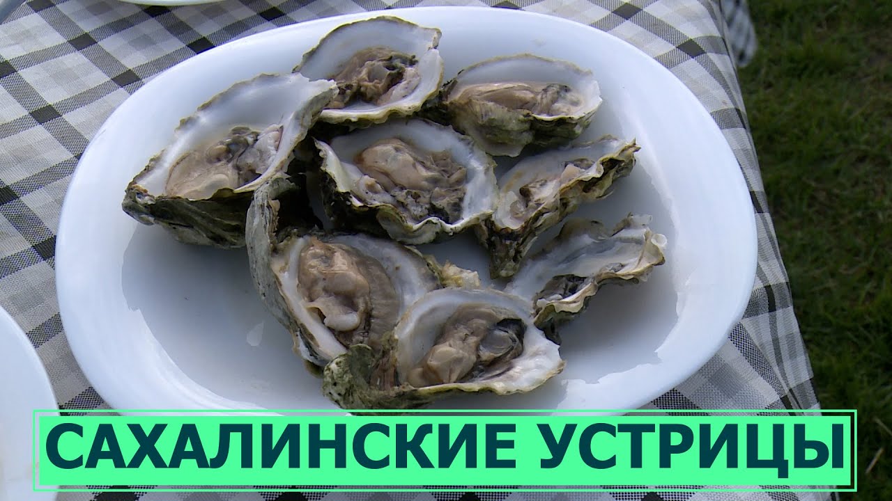 Самый вкусный тур на Сахалине - гастрономическое путешествие на озеро ...