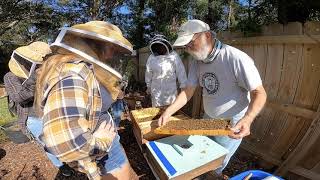 Bees Beyond Borders - Channel Trailer