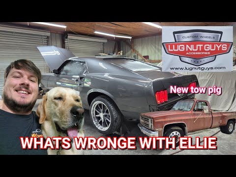 Mustang issues, Ellie's Vet Visit, and New Tow Truck