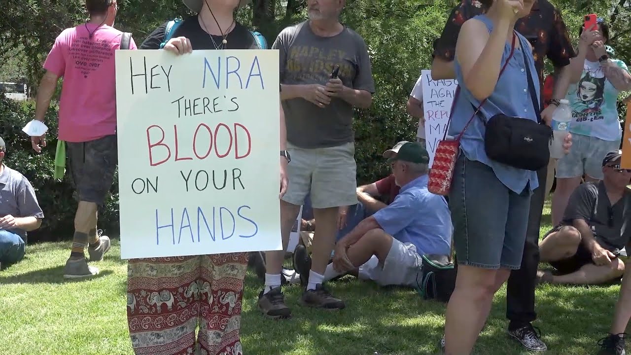 GLOBALink | Ties between U.S. politicians, lobbies make gun violence unresolved: Turkish expert