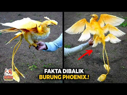 Video: Sejarah dan Simbolisme Patung Burung Api Charlotte