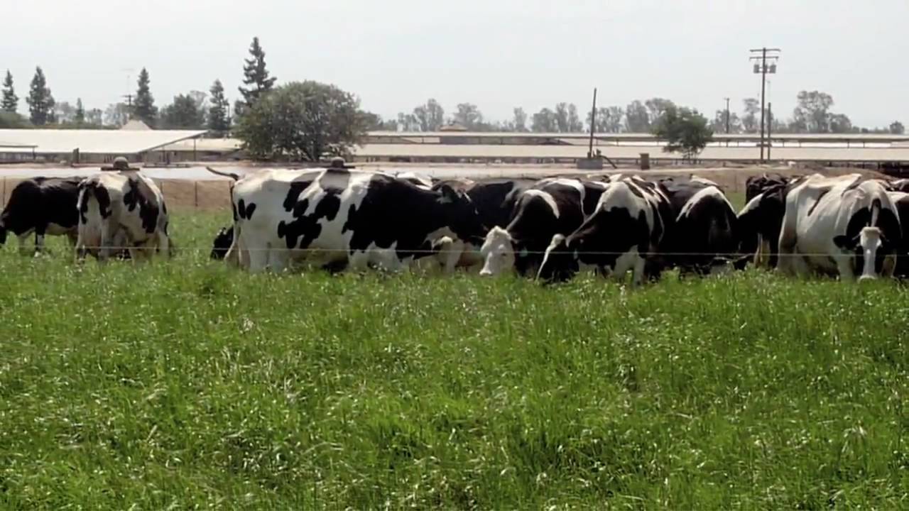 Waste Not, Want Not - Nutrient Recovery and Recycling