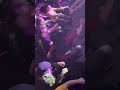 A new type of moshing during “Life is Possible Again” #punk #gogolbordello #ontour