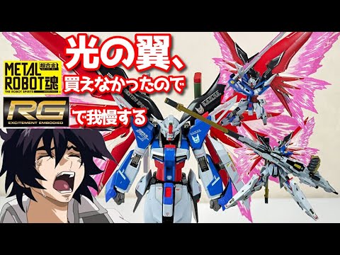 METAL ROBOT魂】光の翼、買えなかったので代わりにRGのを付け