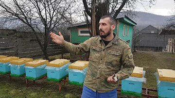 Где разместить пасеку.