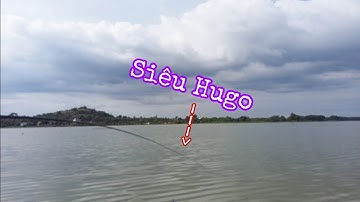 Câu Cá Ổ | Câu Đài | Trúng Ổ Cá Chép , Mè , Rô Phi Toàn Hàng Hugo | Nghiện Câu TV | T30