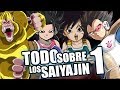 TODO SOBRE LOS SAYAJIN LA RAZA MAS FUERTE DEL UNIVERSO PARTE 1 | CLASES, PODER, NAVES, ARMADURAS