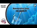 Минифлебэктомия: как делаю я!