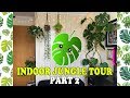 Welcome to the Jungle! Indoor Jungle Tour UK PART 2