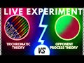 Trichromatic and Opponent Process Theory - The EASY Explanation