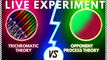 Trichromatic and Opponent Process Theory - The EASY Explanation