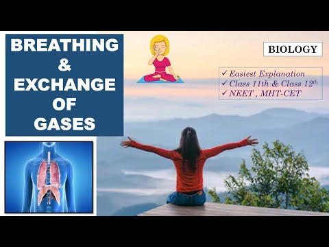 BREATHING & RESPIRATORY ORGANS | BIOLOGY TUTORIALS | NEET , MHT-CET