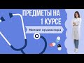 Медицинский университет (РНИМУ): Предметы 1-ого курса // Мнение ординатора