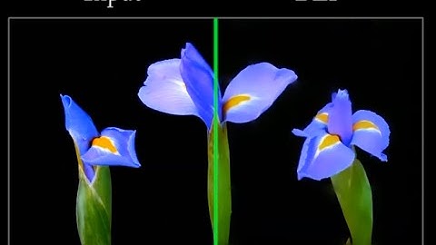 Deep Edge-Aware Filters (ICML 2015)