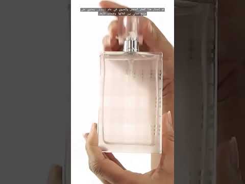 عطر بربري بريت شير نسائي بربري عطر عطور