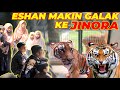 DI SAMBUT DENGAN RAUNGAN SUPER KERAS ESHAN KE JINORA ALSHAD AHMAD