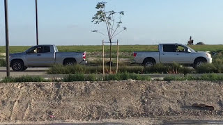 Toyota Tundra vs Nissan Titan tug of war