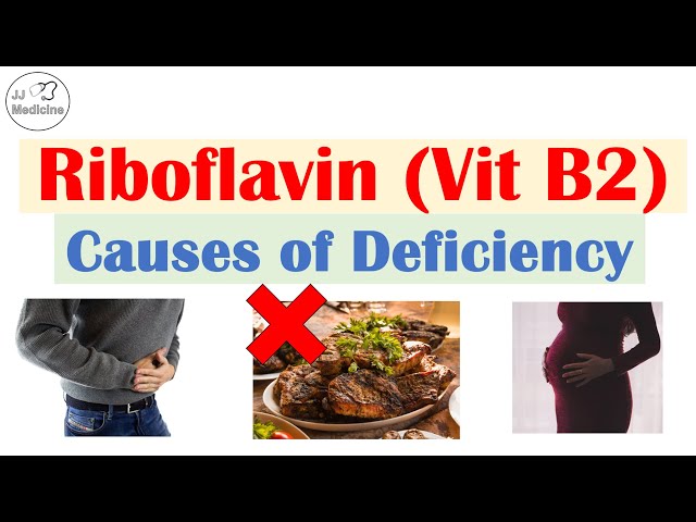 Vitamin B2 (Riboflavin) Deficiency Causes | Dietary, Gastrointestinal, & More class=