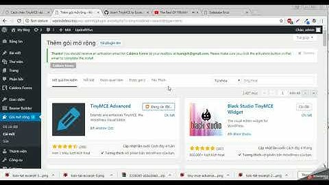 Chèn TinyMCE vào Tóm tắt (Excerpt) của Bài viết