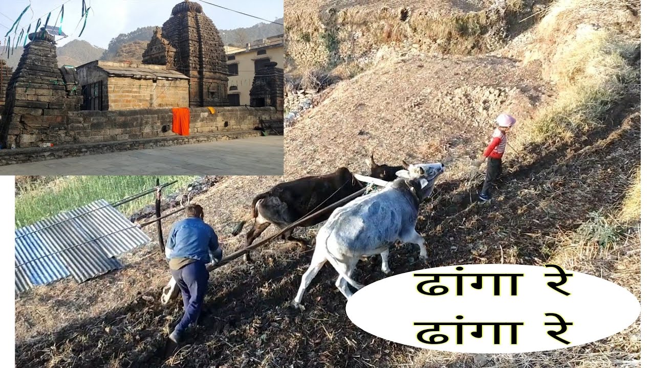 विश्व के इकलोते राहु मंदिर में की पूजा संपन्न 🙏🙏 .. pahadi lifestyle .. 