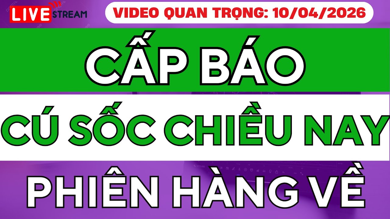CẤP BÁO: CÚ SỐC LỚN CHIỀU NAY PHIÊN HÀNG VỀ - HÀNH ĐỘNG QUAN TRỌNG NHÀ ĐẦU TƯ