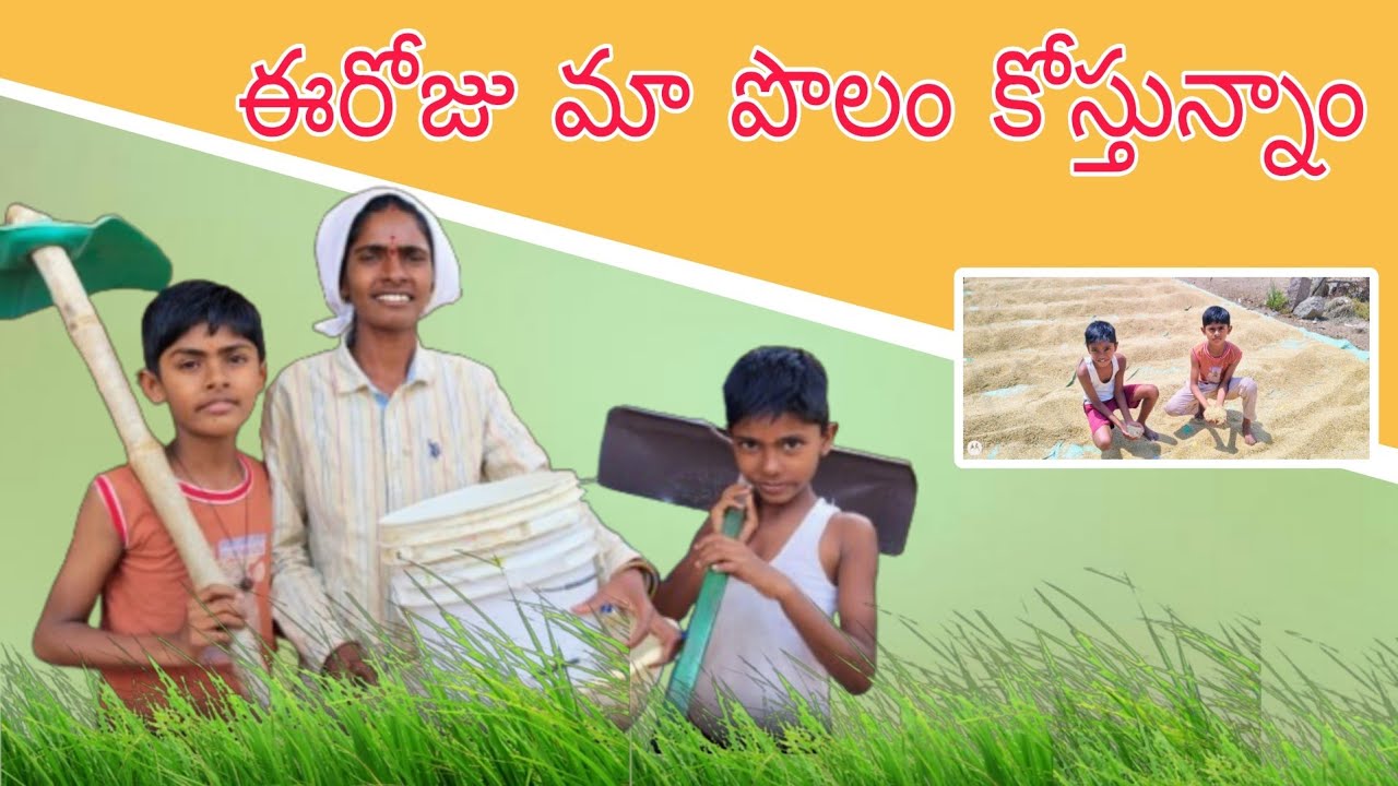 మన పొలం కోసుడు మొదల్వెట్టినం🌾🌾...